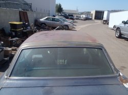 190822 66 Ford Mustang (7).JPG